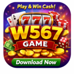 W567 Game